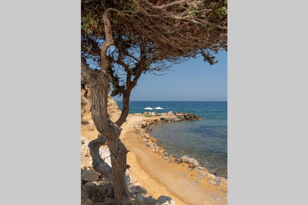 Villa Ktima Sfakia Kéfalos Exterior foto