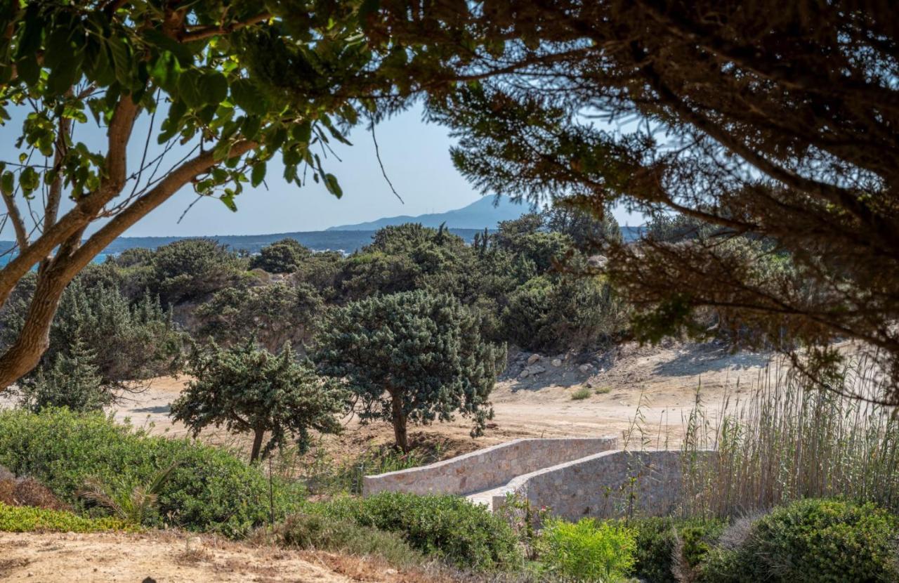 Villa Ktima Sfakia Kéfalos Exterior foto