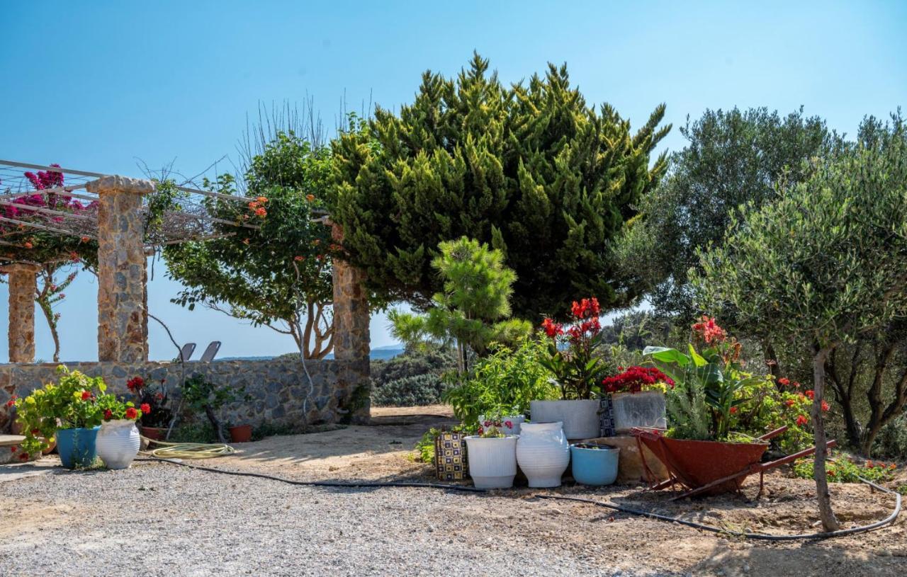 Villa Ktima Sfakia Kéfalos Exterior foto